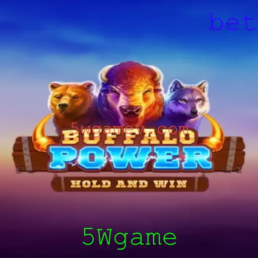 5Wgame Contate-nos